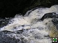 thn_The Catlins Coast 035.jpg
